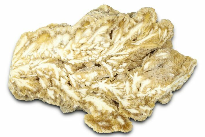 Polished Barite Slab - Lubin Mine, Poland #373545
